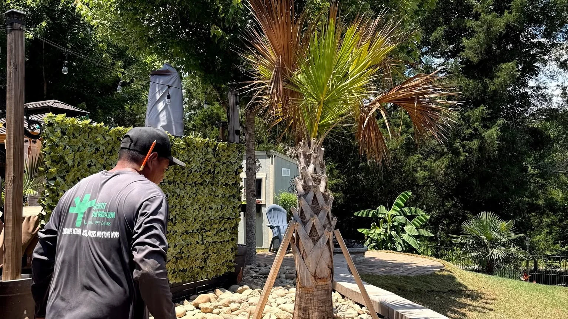 Tree Planting project example for Duncan, South Carolina