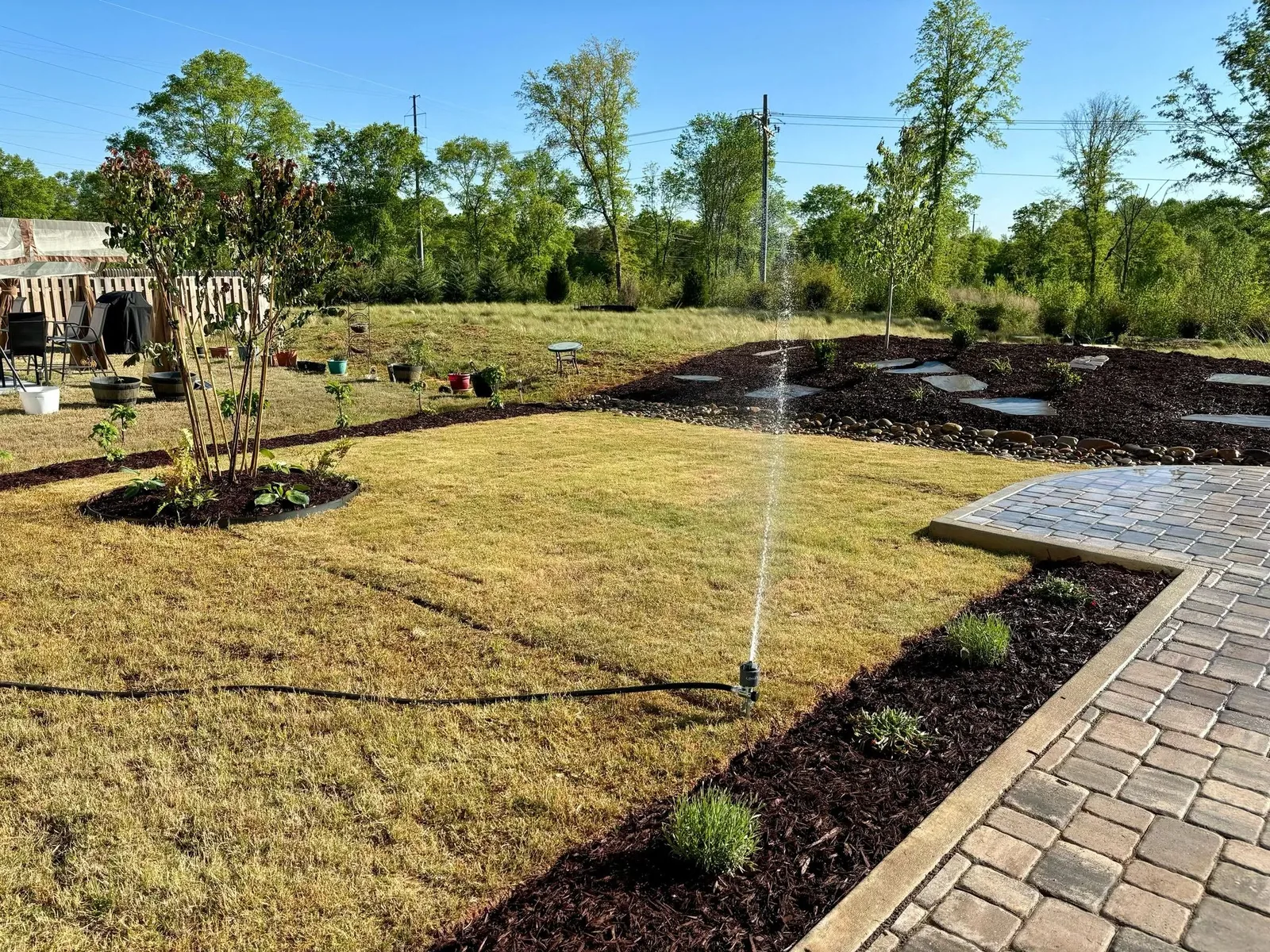 Tree Planting property detail