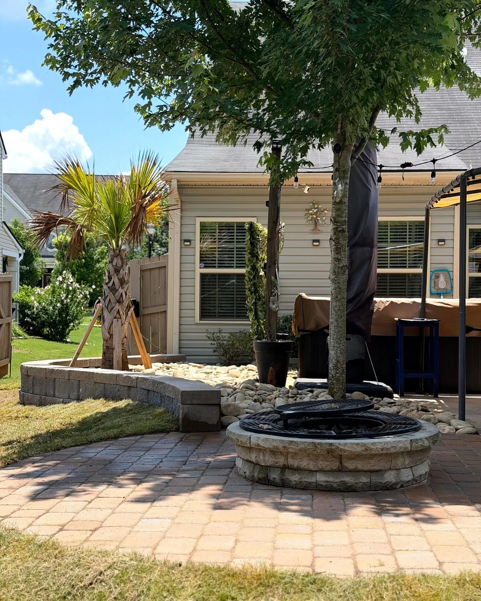 Infinite Outdoor Construction installed tree project photo